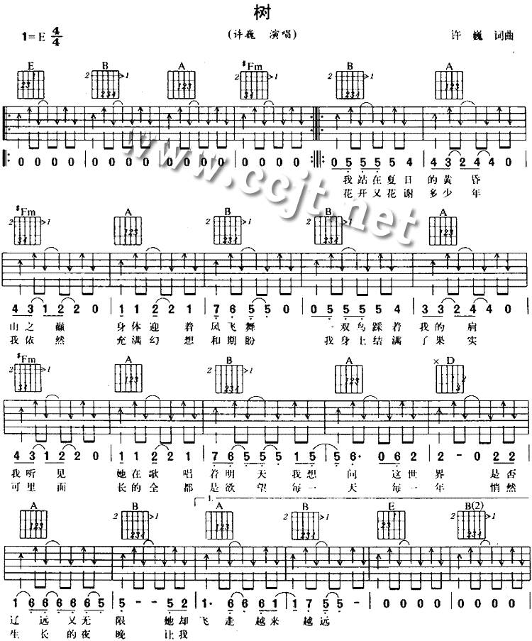 树吉他谱