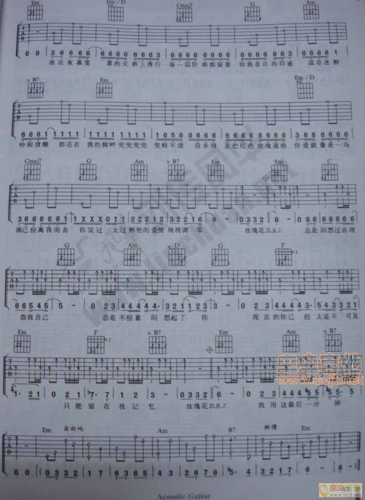 玫瑰花的葬礼吉他谱 