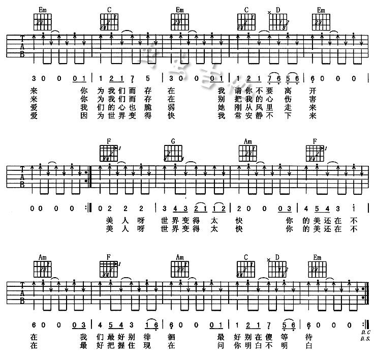 美人吉他谱 