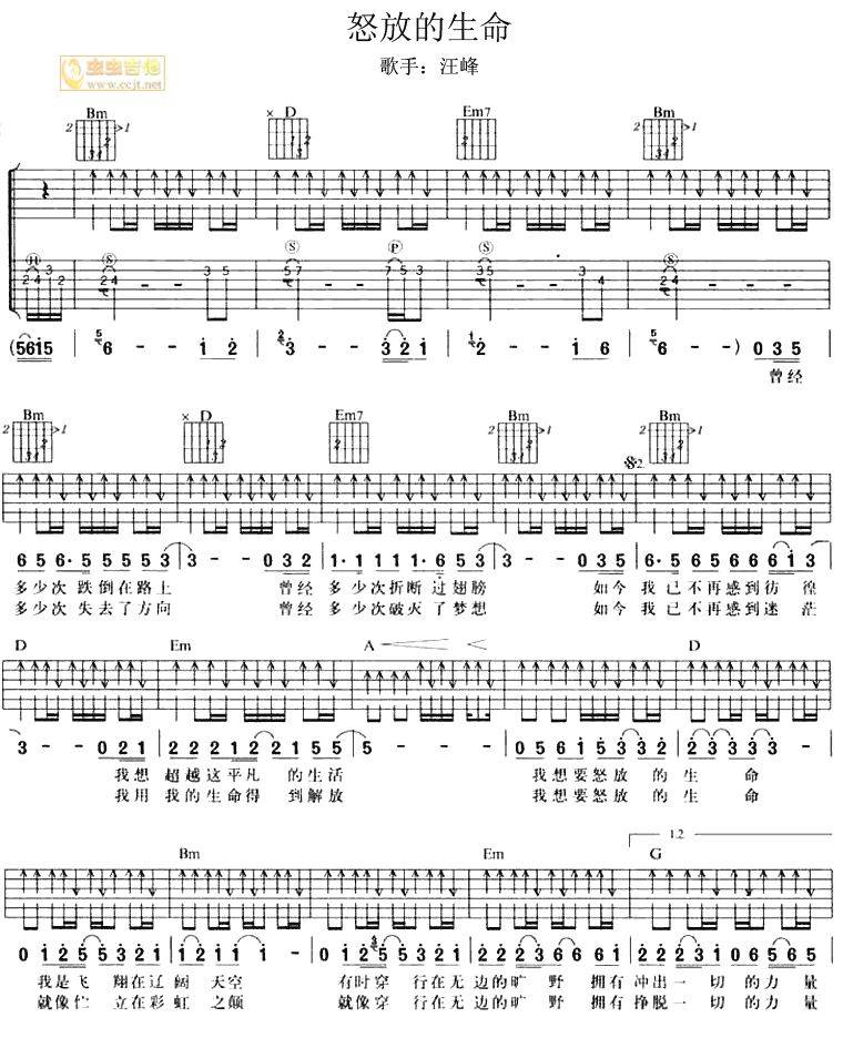 怒放的生命吉他谱