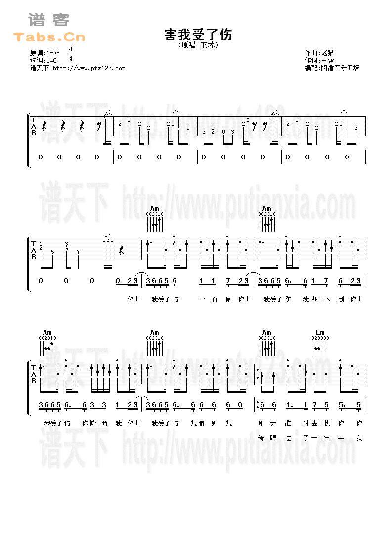 害我受了伤 完美版	吉他谱