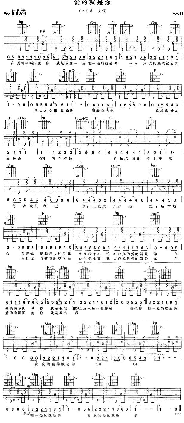 爱的就是你 (王力宏)吉他谱 