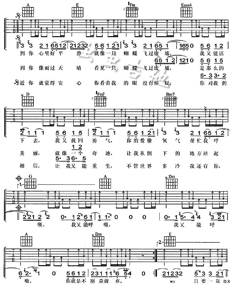 蝴蝶吉他谱