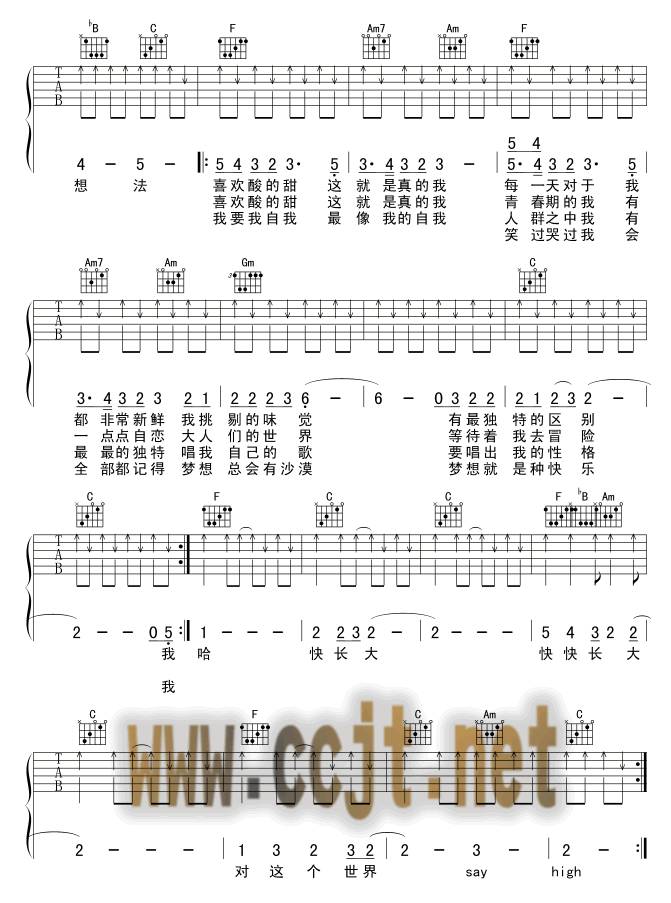酸酸甜甜就是我吉他谱 
