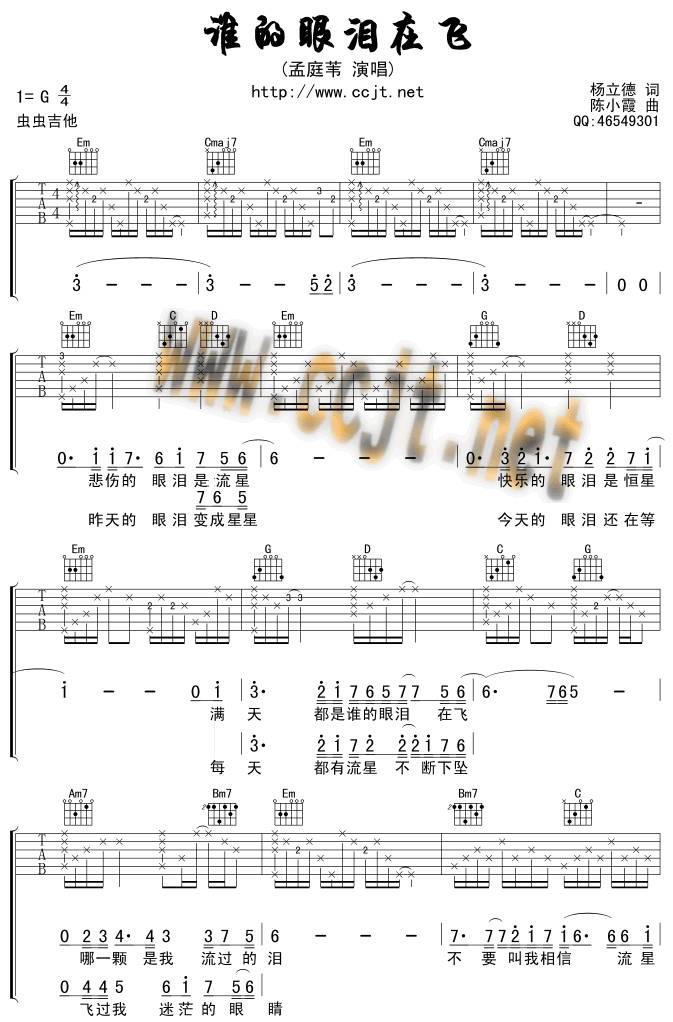 谁的眼泪在飞吉他谱