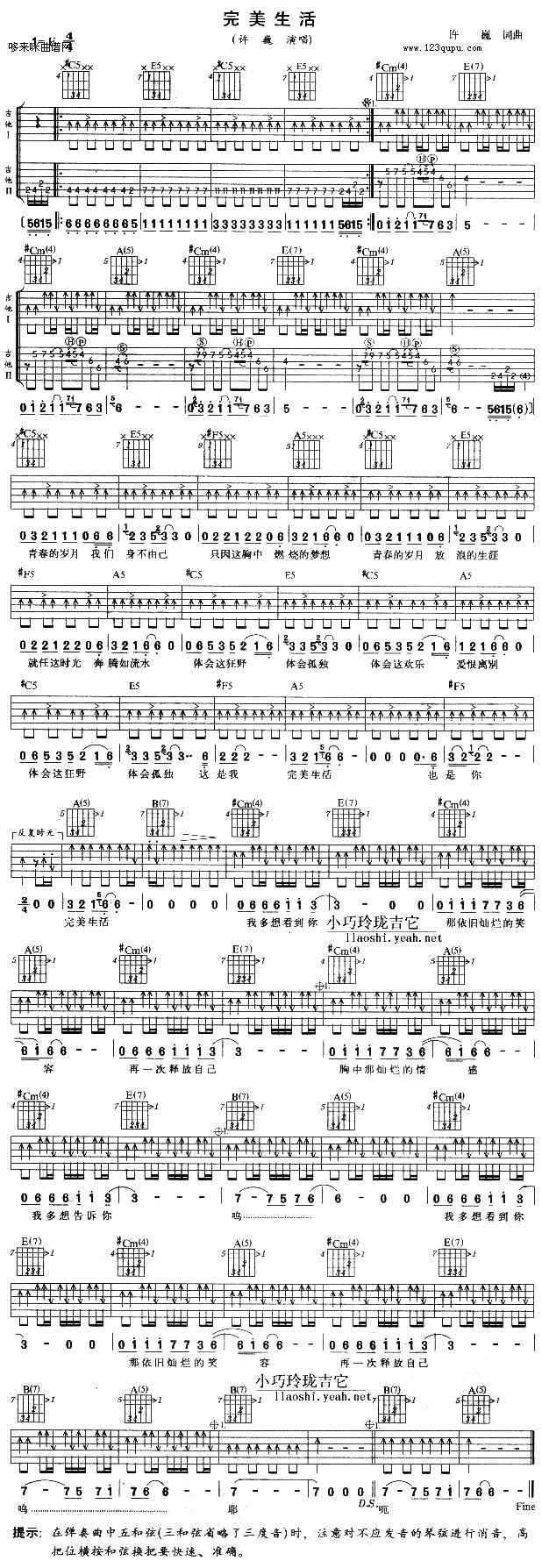 完美生活 （许巍）吉他谱 