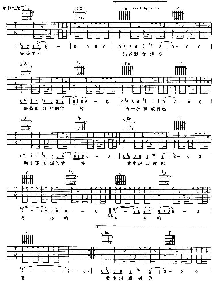 完美生活(许巍)吉他谱 