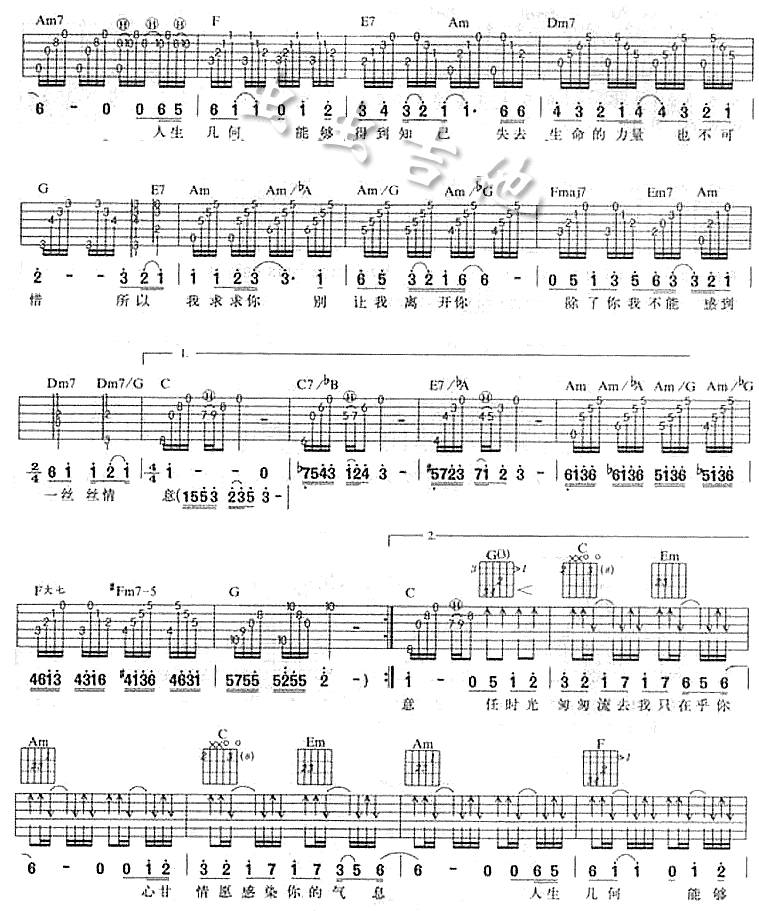 我只在乎你吉他谱