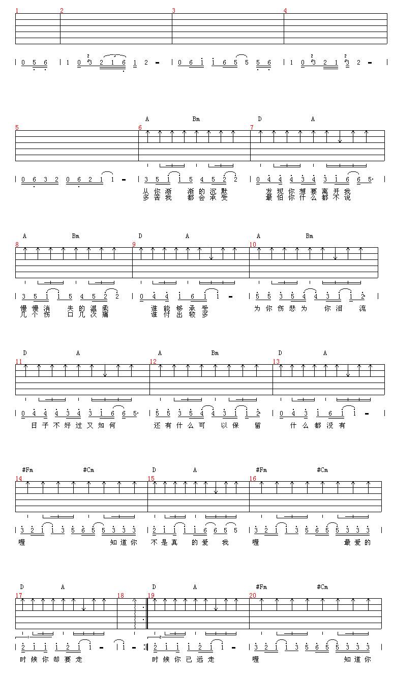 知道你不是真的爱我吉他谱