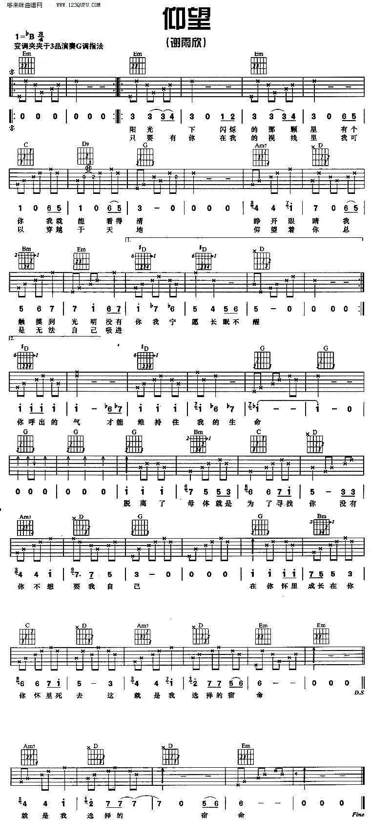 仰望—谢雨欣吉他谱 