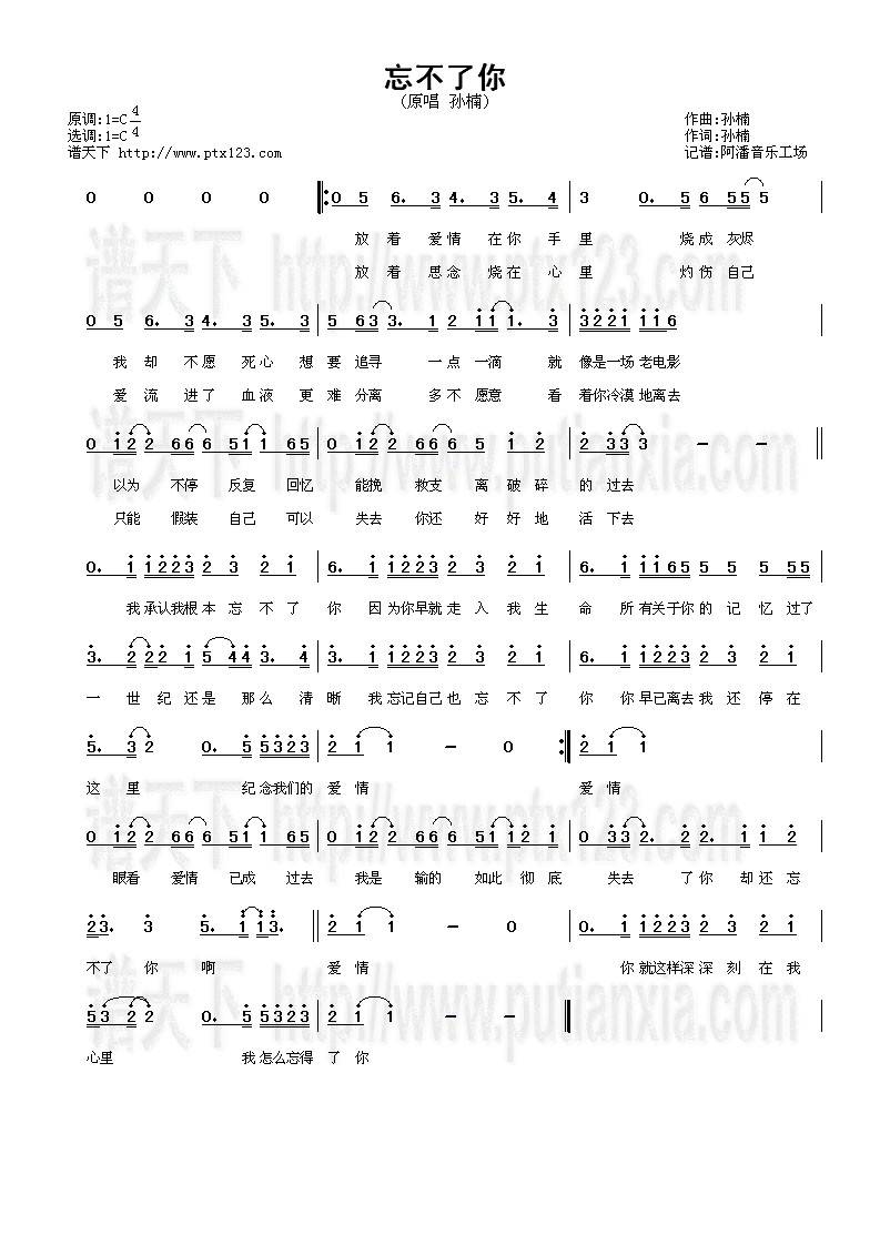 忘不了你吉他谱 