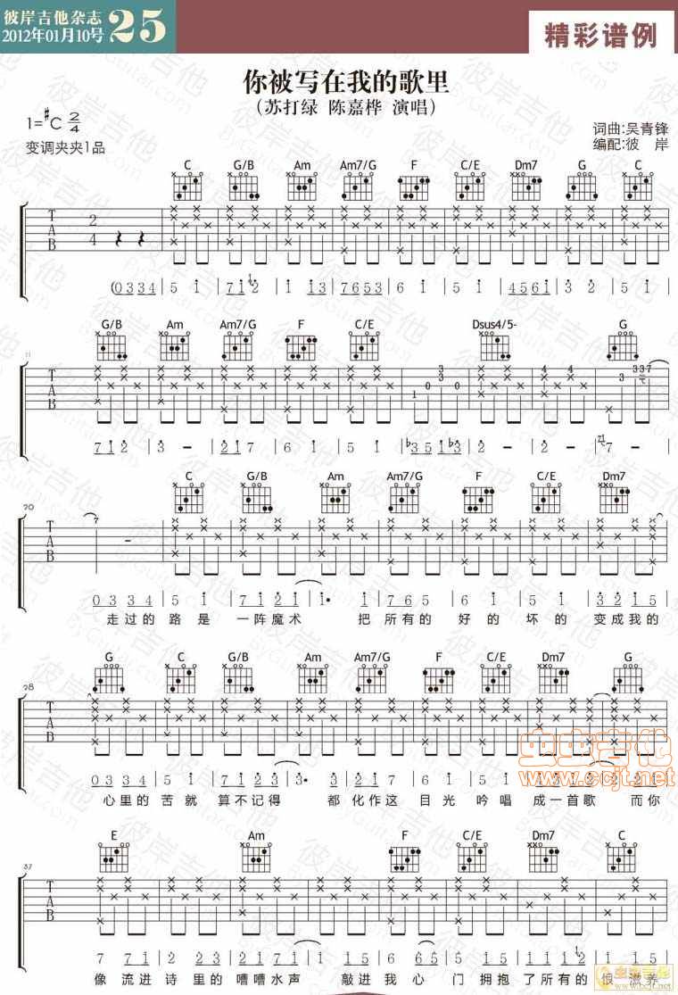 你被写在我的歌里吉他谱