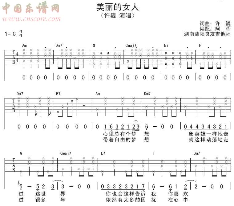 许巍《美丽女人》吉他谱 
