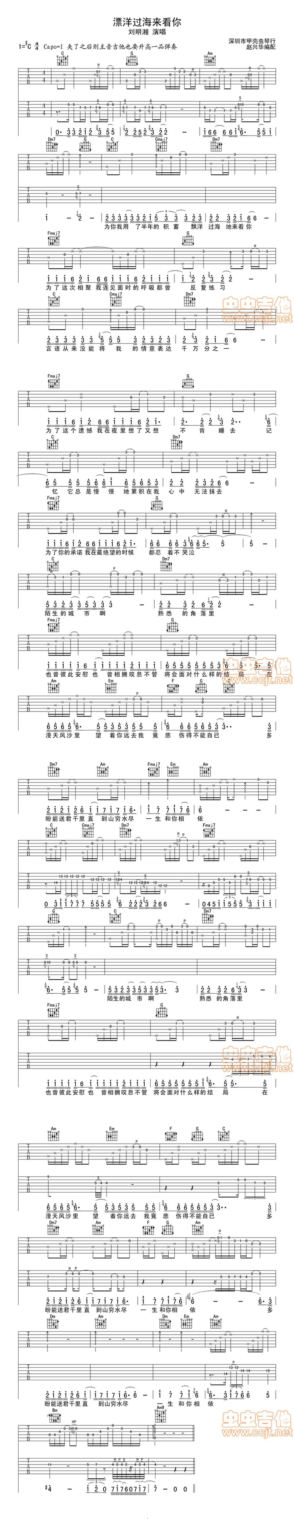 漂洋过海来看你 新编配吉他谱 