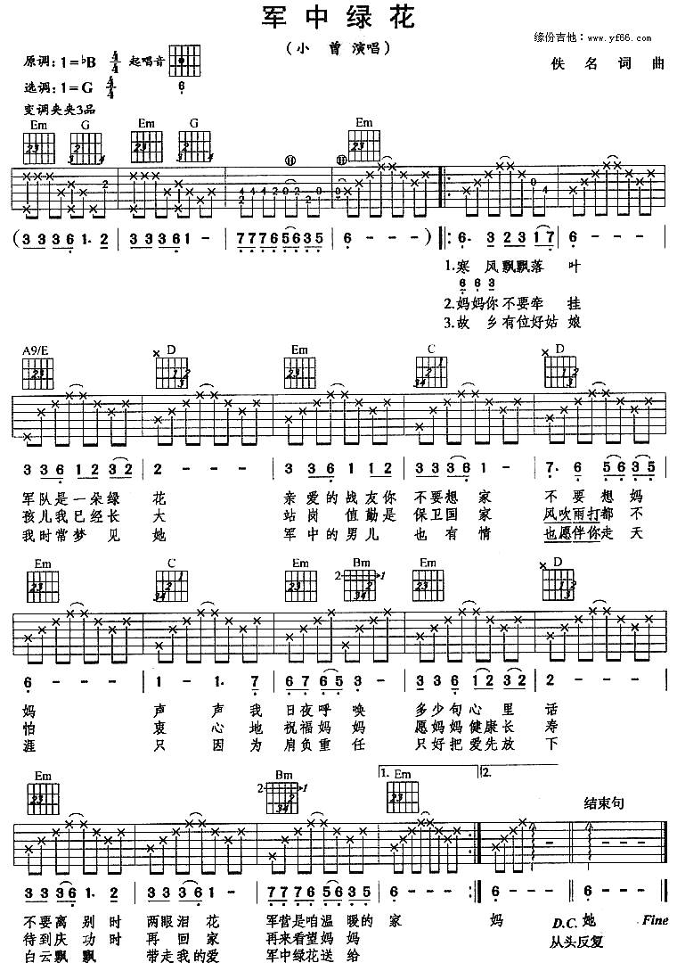 军中绿花吉他谱 