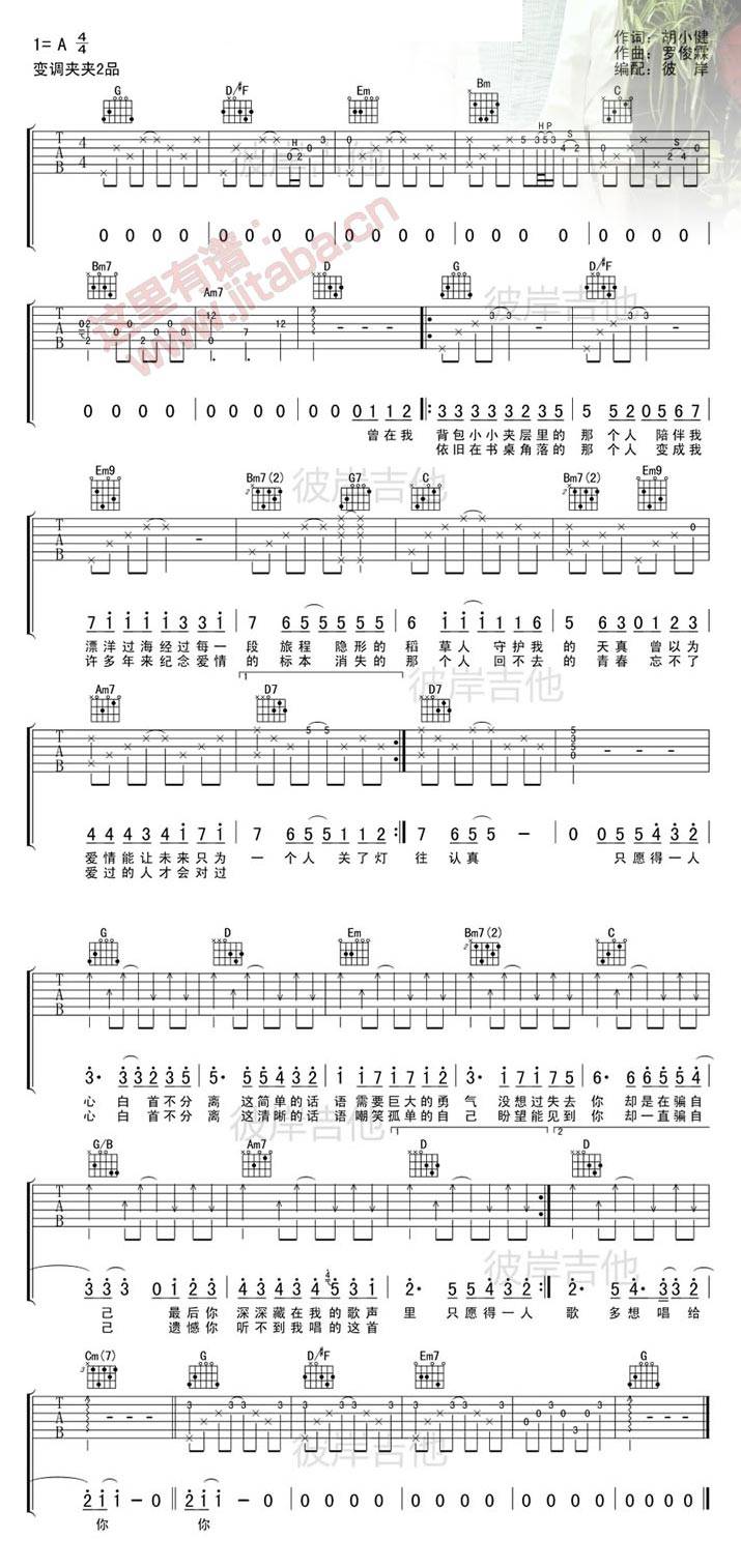 愿得一人心 新编吉他谱 