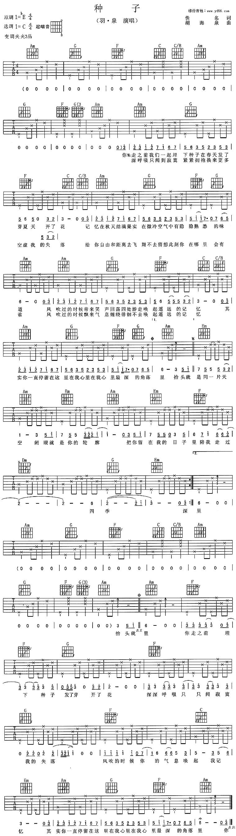 种子吉他谱 