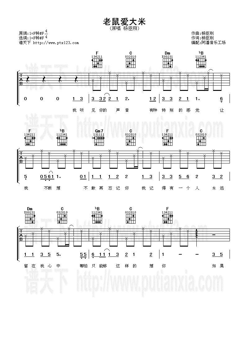 老鼠爱大米吉他谱