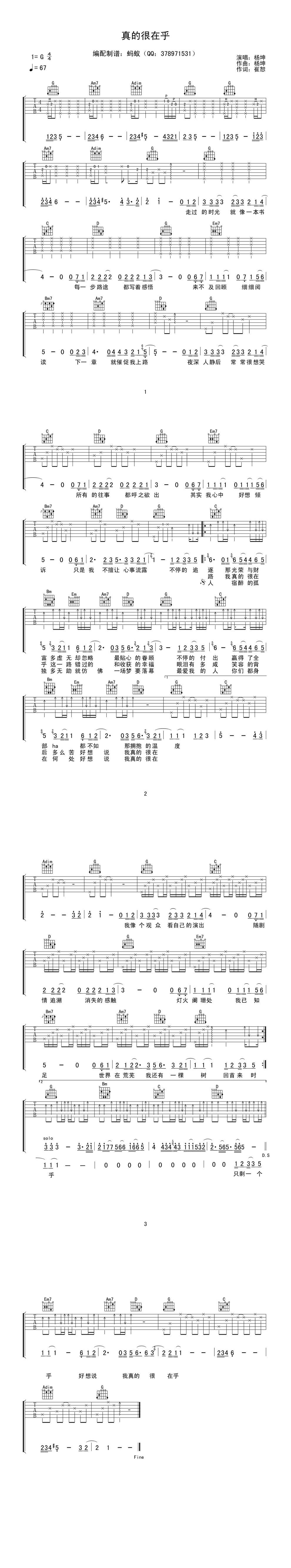真的很在乎-杨坤吉他谱 