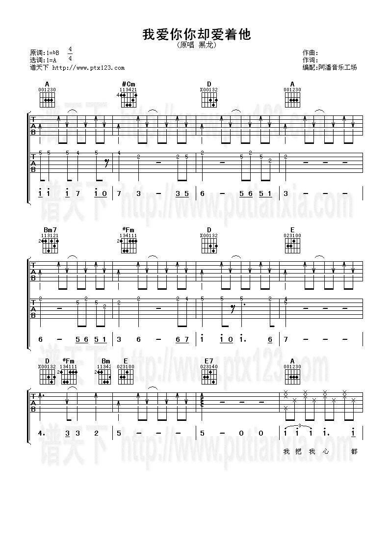 我爱你你却爱着他吉他谱