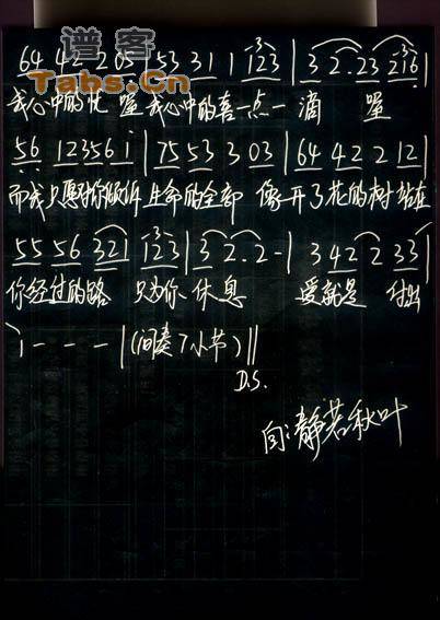 信鸽 简谱版	吉他谱 