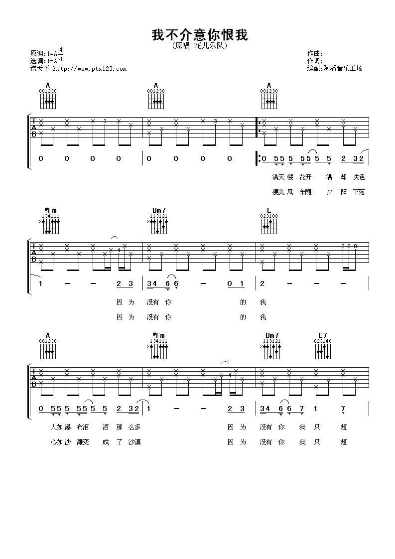 我不介意你恨我吉他谱