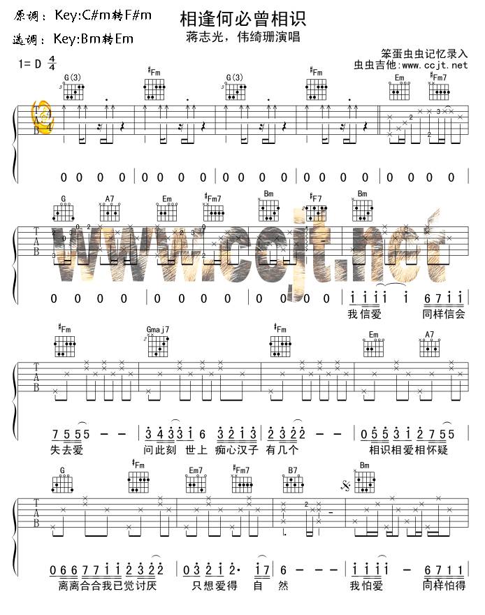 相逢何必曾相识吉他谱