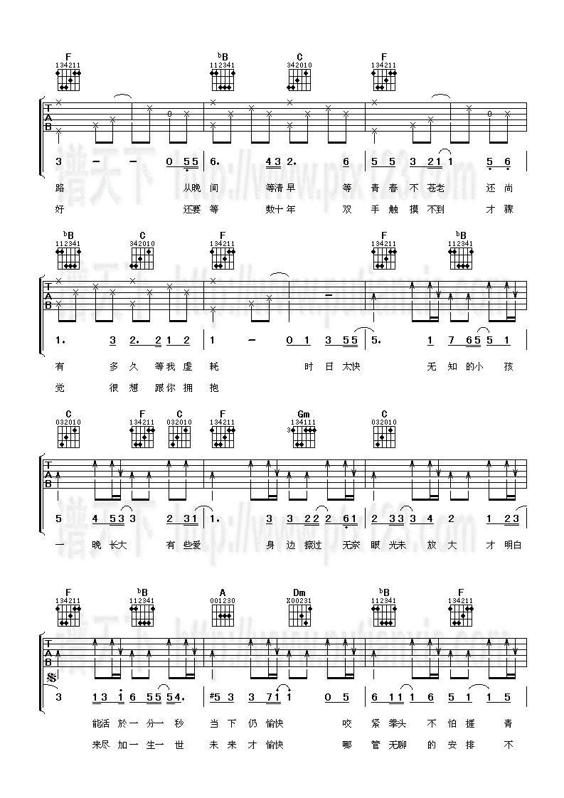 一晚长大吉他谱