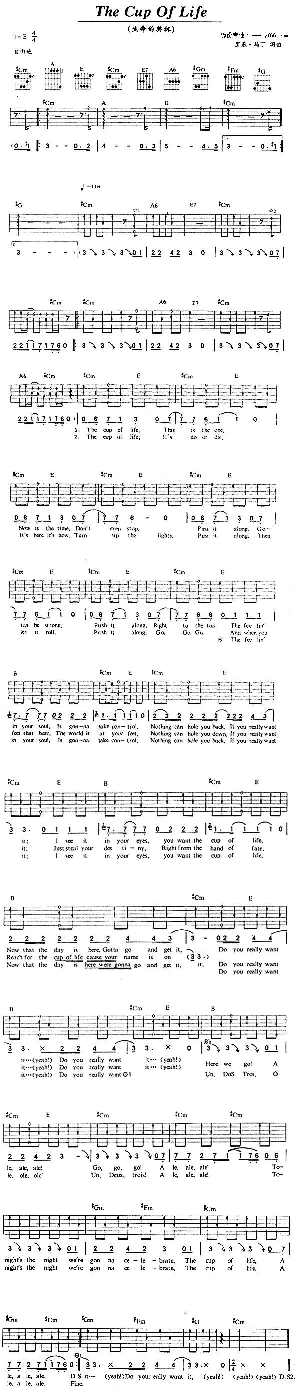 The Cup Of Life（生命之杯）吉他谱 