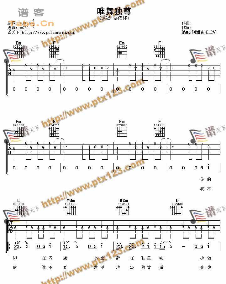 唯舞独尊 完美版吉他谱 