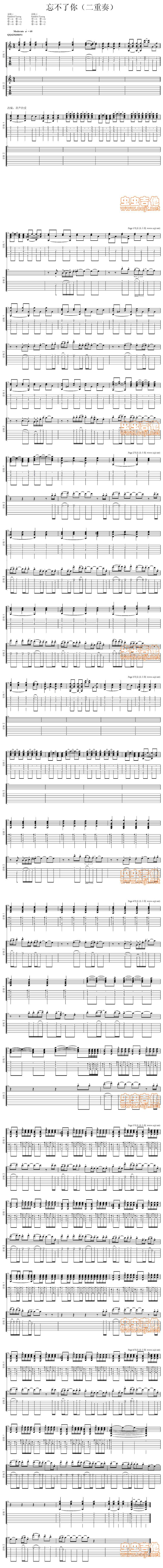 忘不了你两重奏吉他谱 