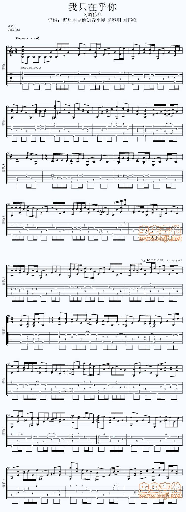 我只在乎你（独奏）吉他谱 