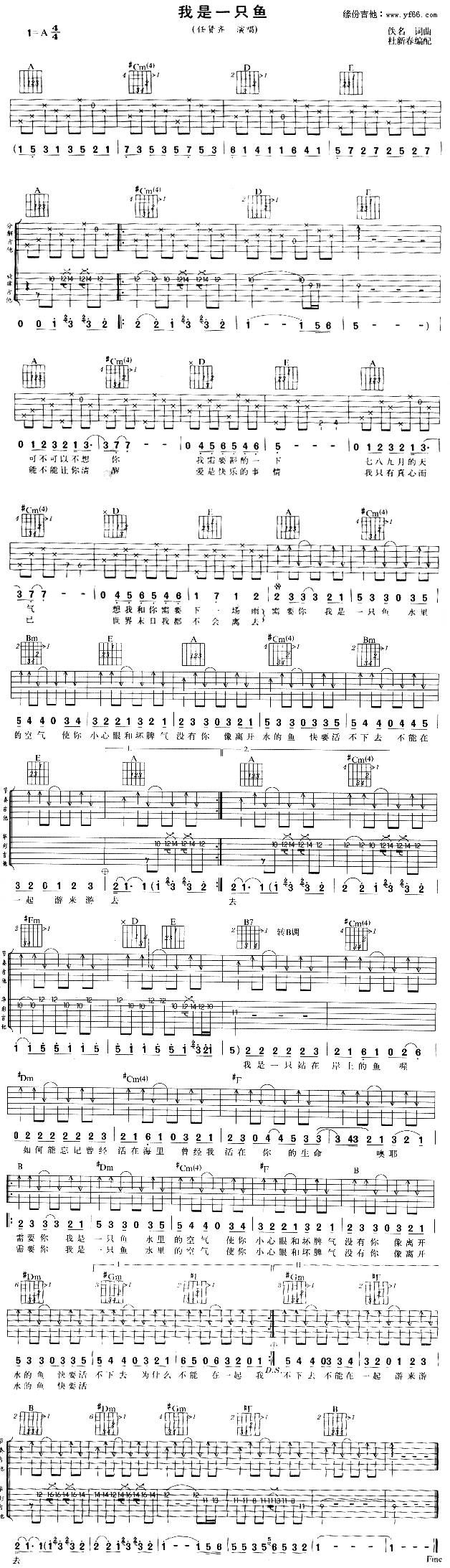 我是一只鱼吉他谱 