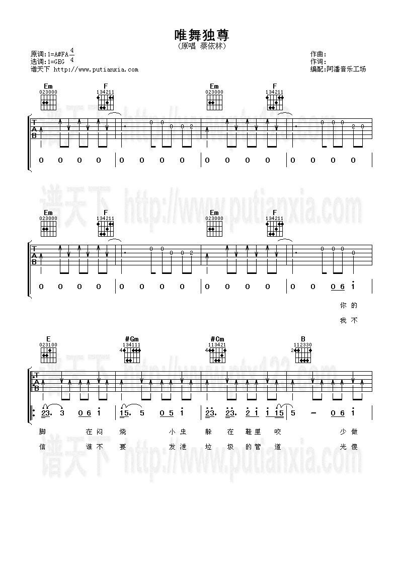 唯舞独尊吉他谱