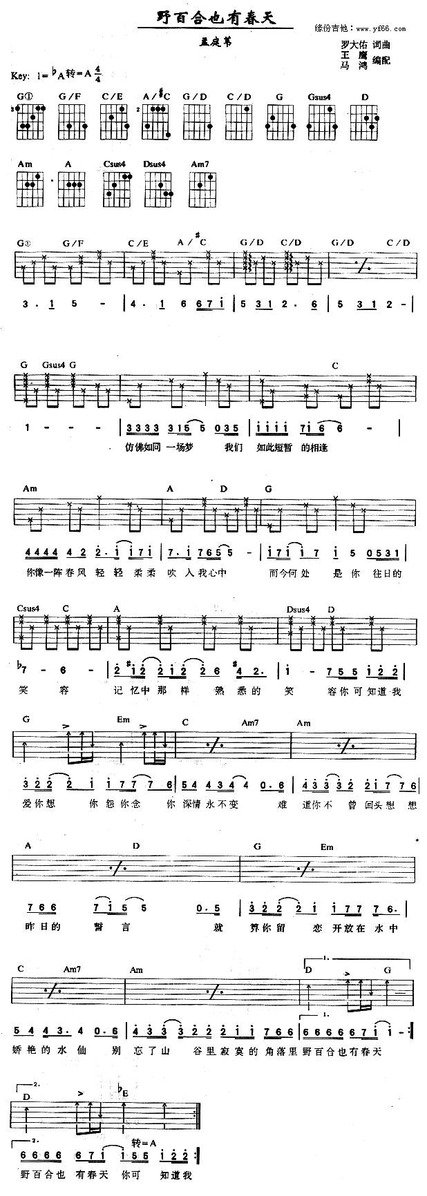 野百合也有春天吉他谱 