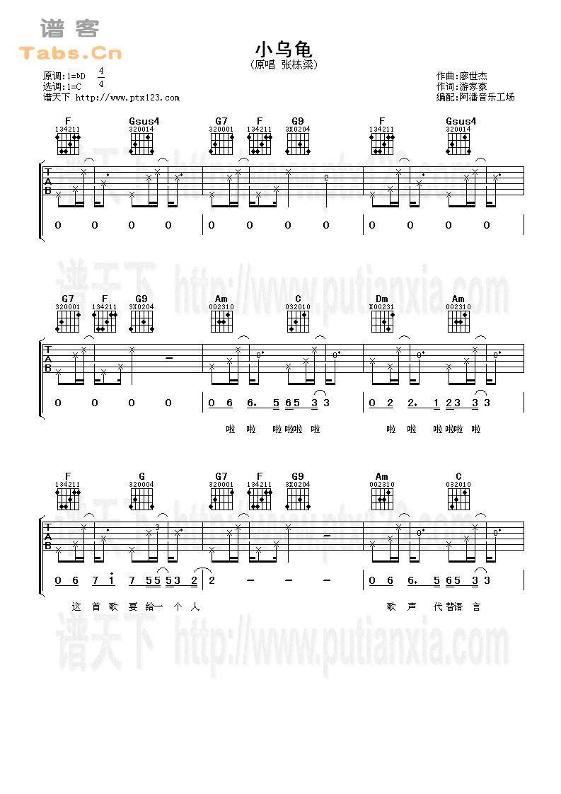 小乌龟 完美版	吉他谱