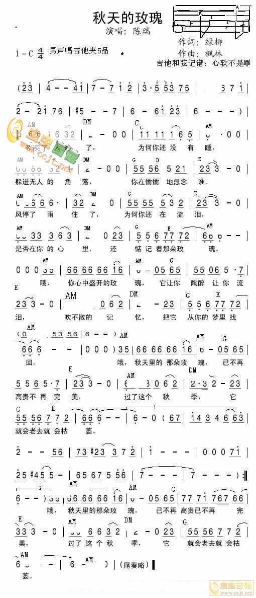 秋天的玫瑰吉他谱 