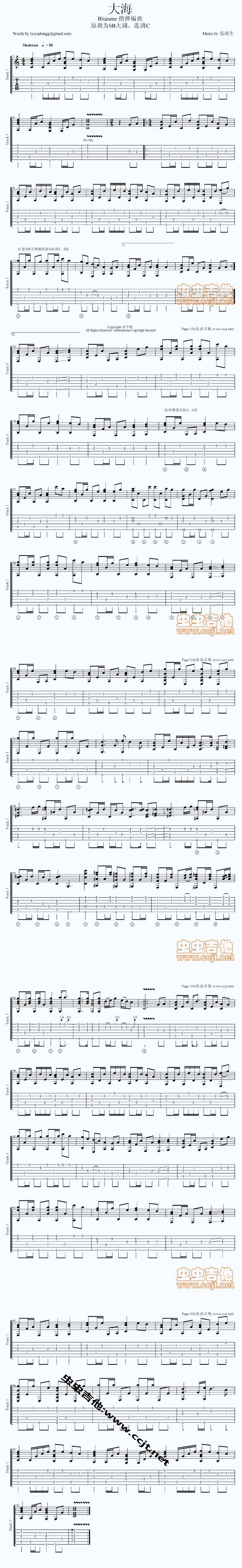 张雨生 大海吉他谱 
