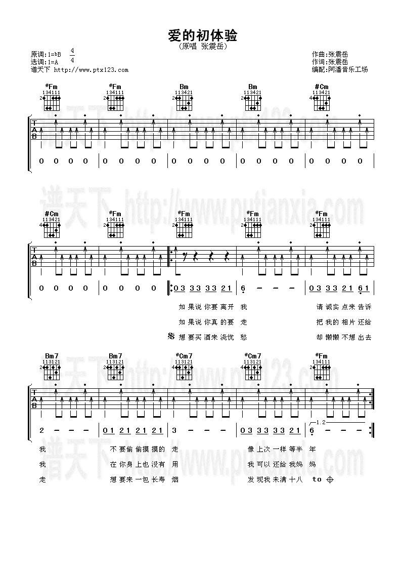 爱的初体验吉他谱