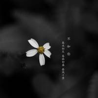 春风十里吉他谱_G调女生版