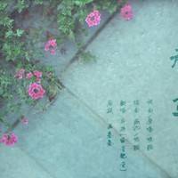 走马吉他谱_G调版