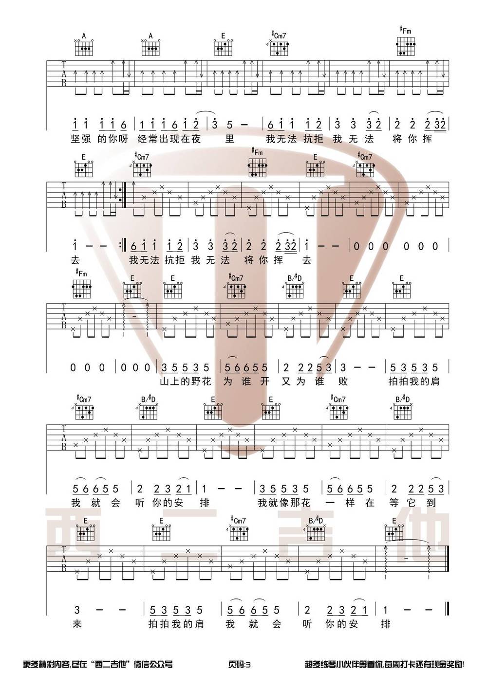 野花吉他谱_原版 