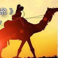 沙漠骆驼吉他谱_G调版