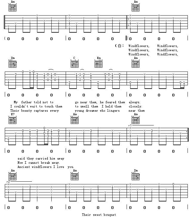 Wind Flower吉他谱