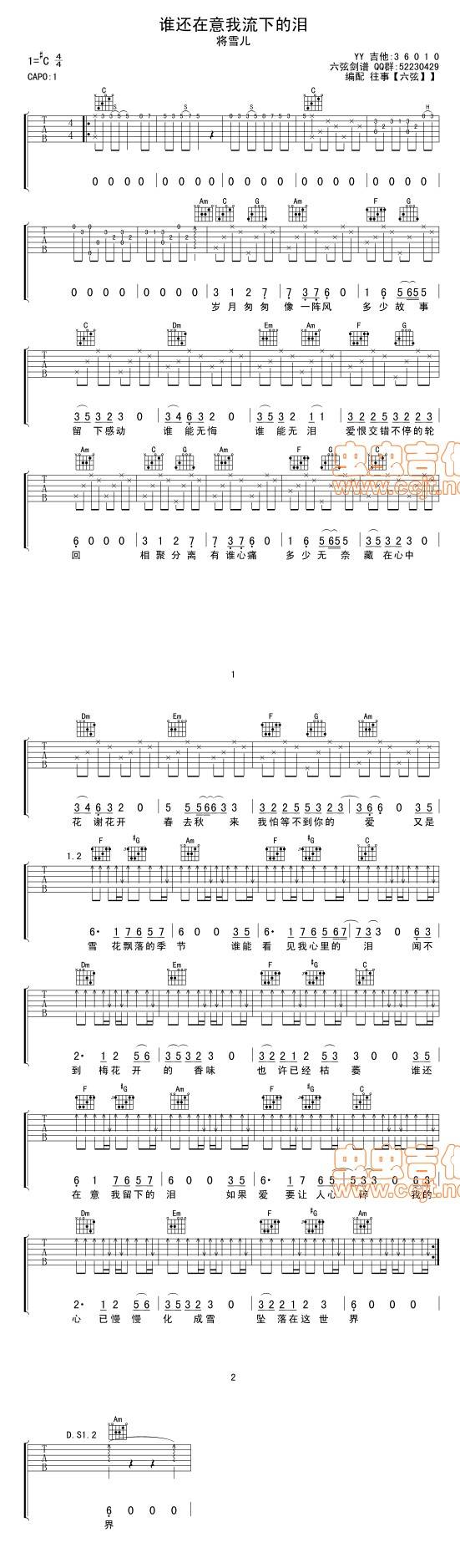 谁还在意我留下的泪吉他谱 