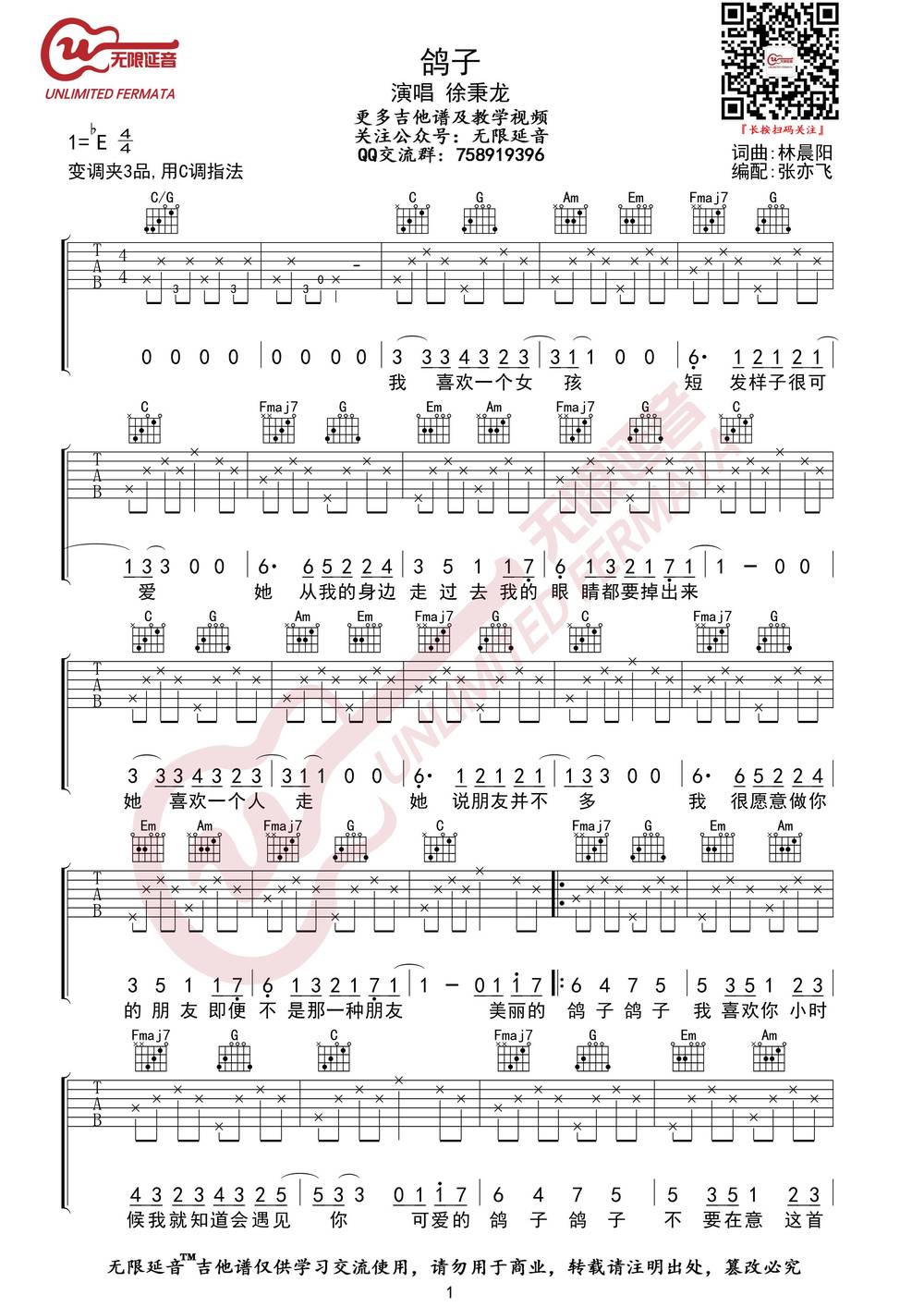鸽子吉他谱_C调版