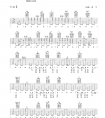 信仰吉他谱 甫平《信仰》六线谱 G调 弹唱图片谱