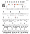 梦一场吉他谱 那英/张磊 C调 梦一场六线谱 弹唱视频演示